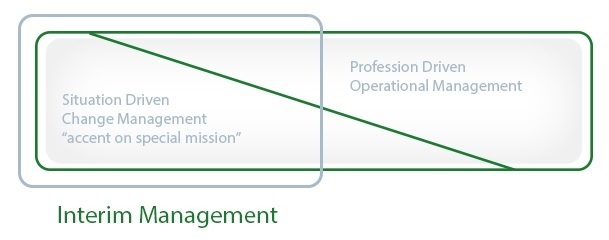 consultdustry interim management ratio in change management.jpg